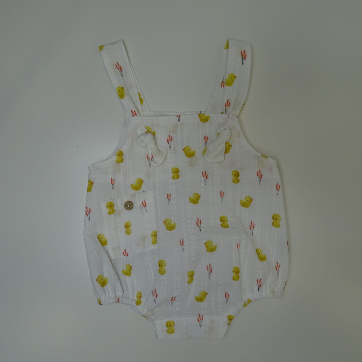 Ranita pollitos – BBZ