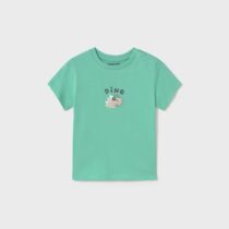 camiseta-dinosaurio-bebe-lago-XL-4